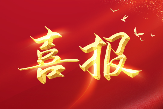 喜报 | 金年会荣登2024粤港澳大湾区企业创新力榜单